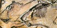 chauvetcave