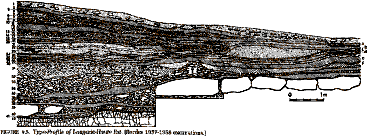 Laugerie Haute Cross Section