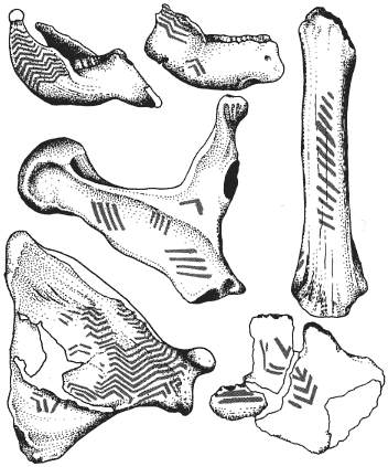 Mezin bones