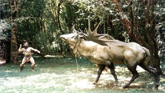 hunting megaceros (prehistoparc, Tursac) 
