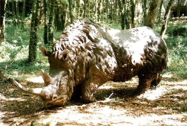 Wooly Rhinoceros (prehistoparc, Tursac)