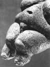venus of willendorf
