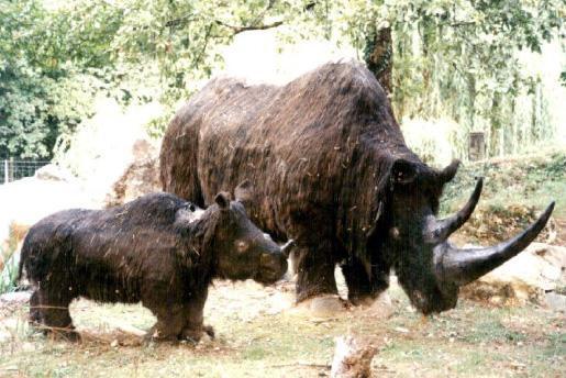 Replicas of a Wooly Rhinoceros and baby at Thonac Park