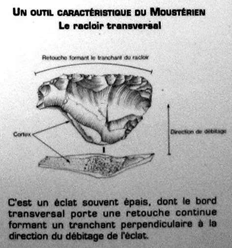 abri pataud