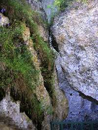 Laugerie Haute