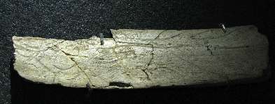carved plaque