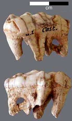 Abri Castanet