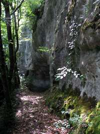 Castel-Merle