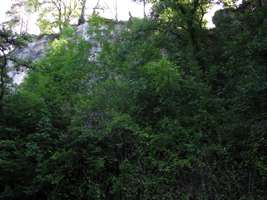 Castel-Merle