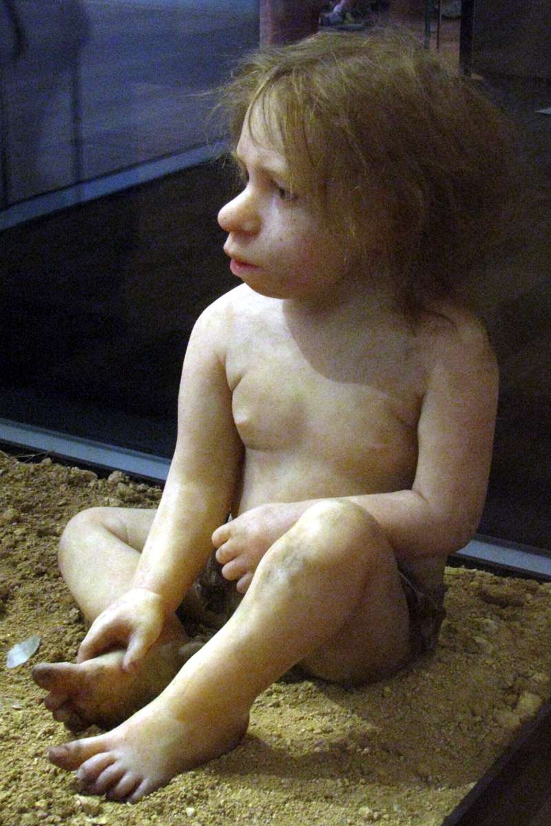 Baby Neanderthal