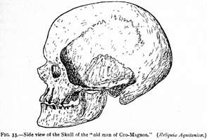 Cro-Magnon Side view of the Skull