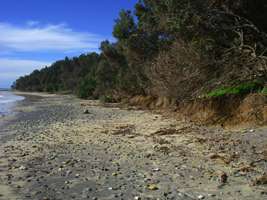 erosion  of the foreshore at Diggers Camp