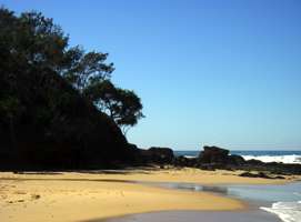 Pandanus and Casuarina trees, rocks, sand and surf