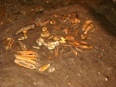 Grotte de La Vache flint