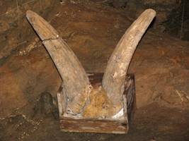 Grotte de La Vache flint