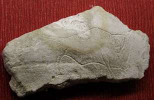 Grotte du Mas d'Azil bison engraving