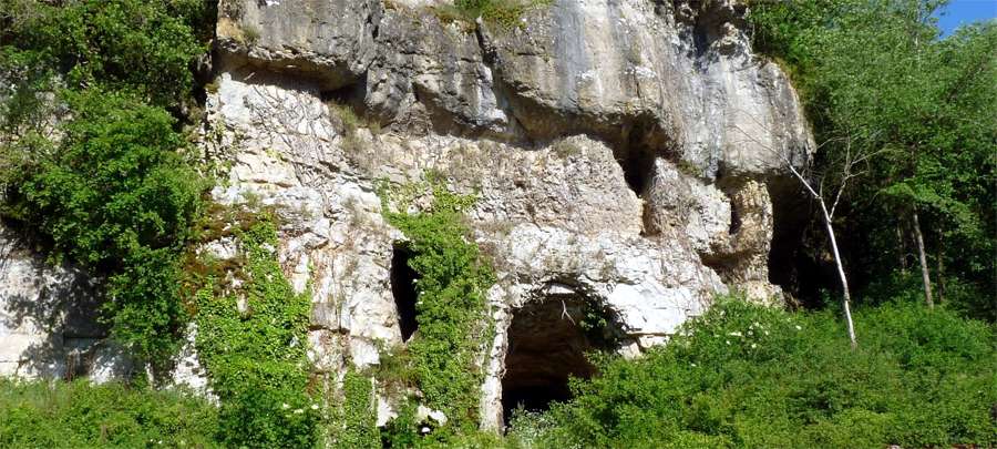 Grotte du Placard