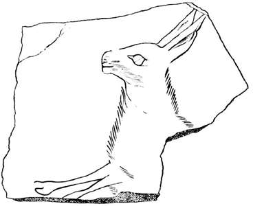 Isturitz hare