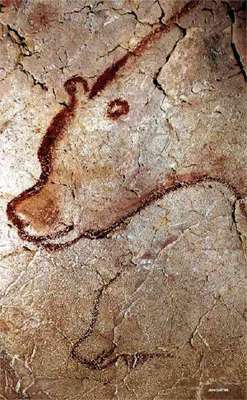 cavebear