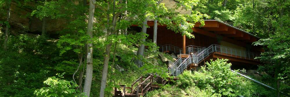 Meadowcroft Rockshelter