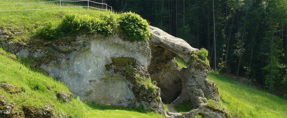 Petersfels site