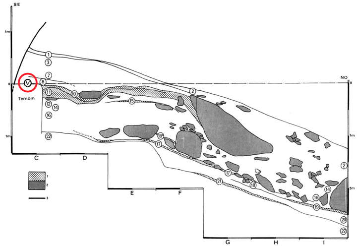 coupe of l'abri du Facteur, Tursac