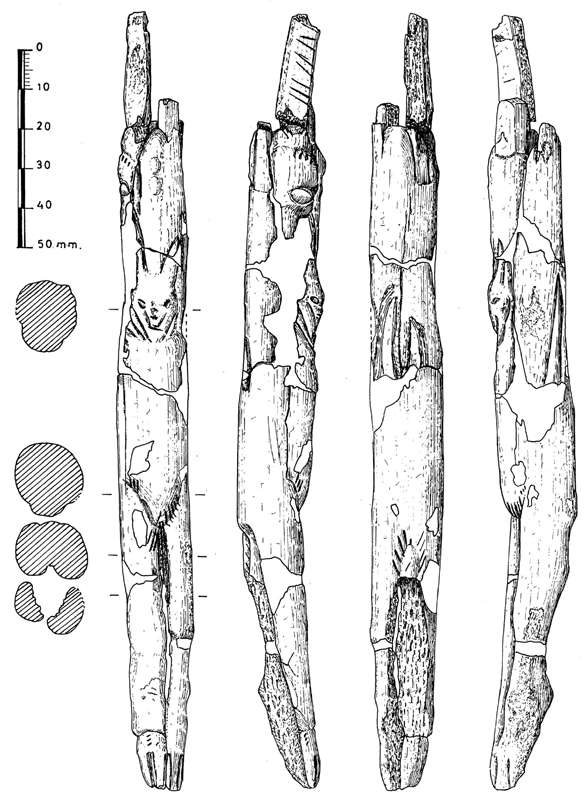 Venus figure from Las Caldas Cave