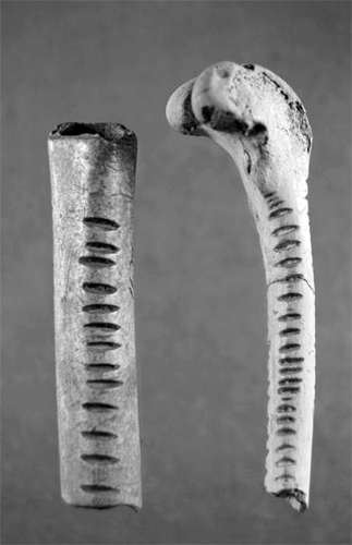 Cellier counting stick