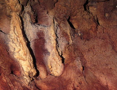 Chauvet Cave red dots