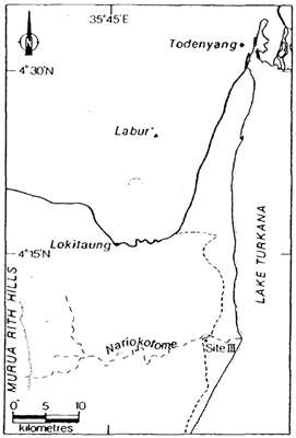 Homo erectus map