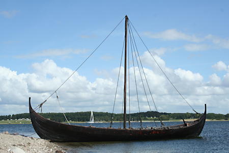 Viking ships