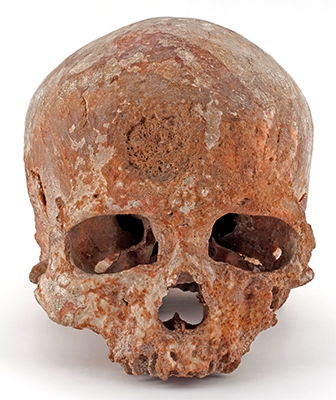 cromagnon skull