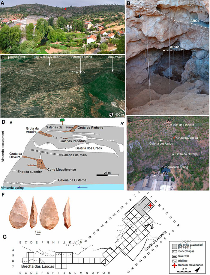 general area and cross section  