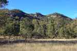 Mt Yarrowyck