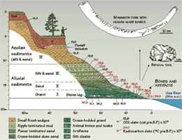 Kurya Cross Section