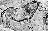 horse