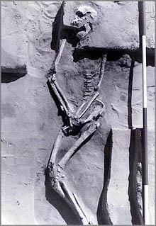 mungo skeleton