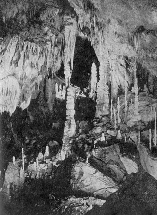 Topolnita Cave