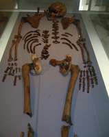 La Ferrassie skeleton