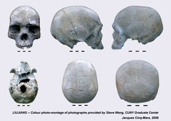 Liujiang skull colour montage