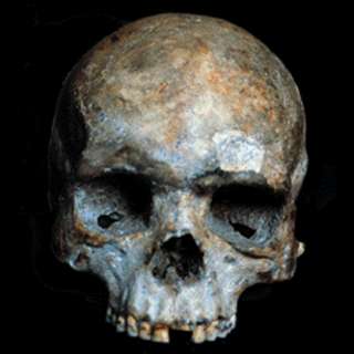 Liujiang skull