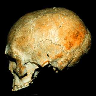 Liujiang skull