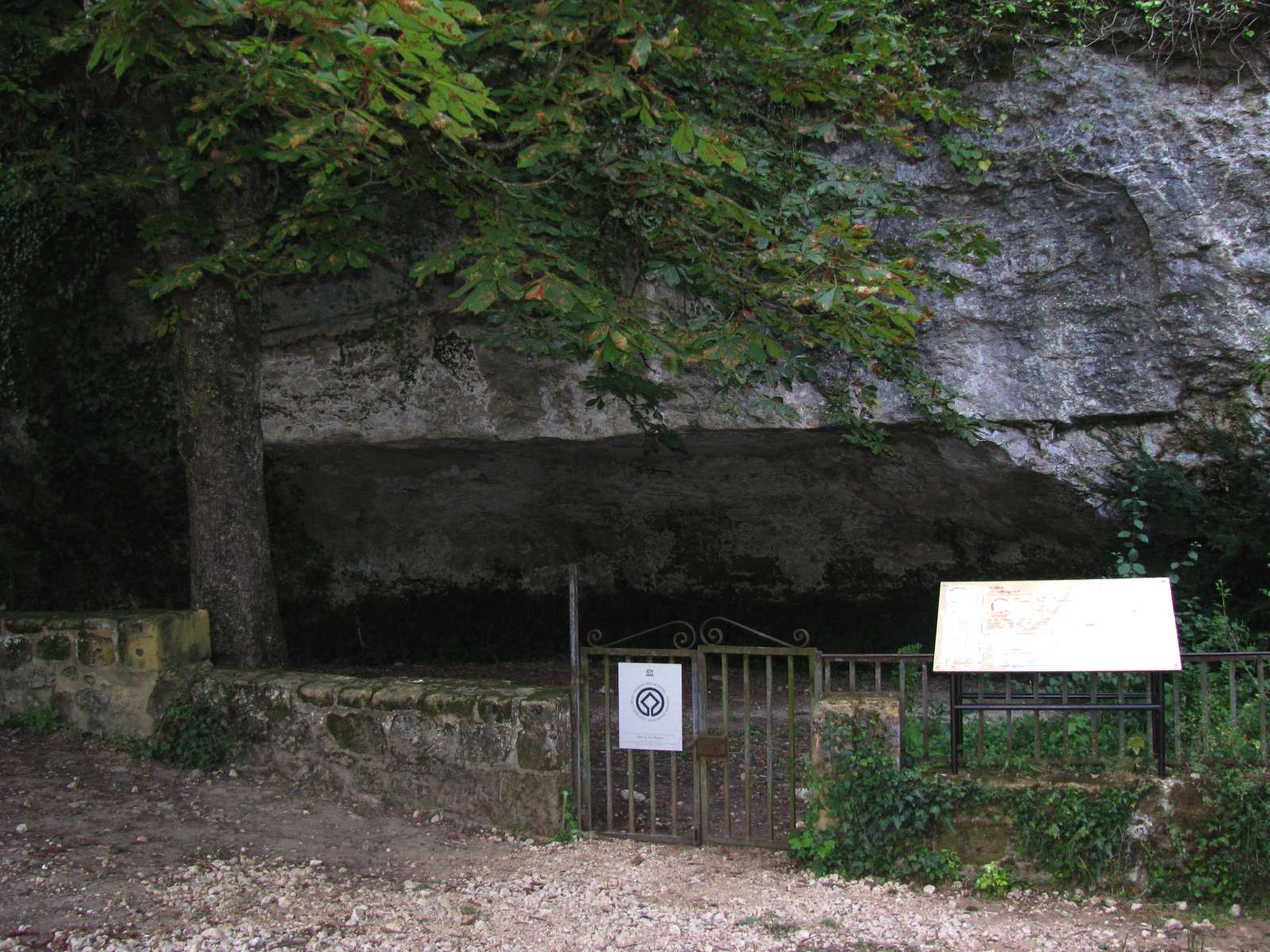 Cave Cromagnon Man