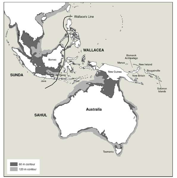 sea currents map