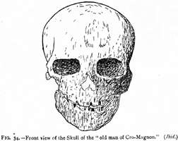 Cro-Magnon Front view of the Skull