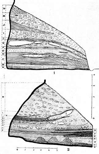 La Ferrassie stratigraphy