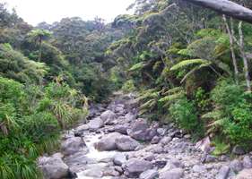 Wekakura Creek