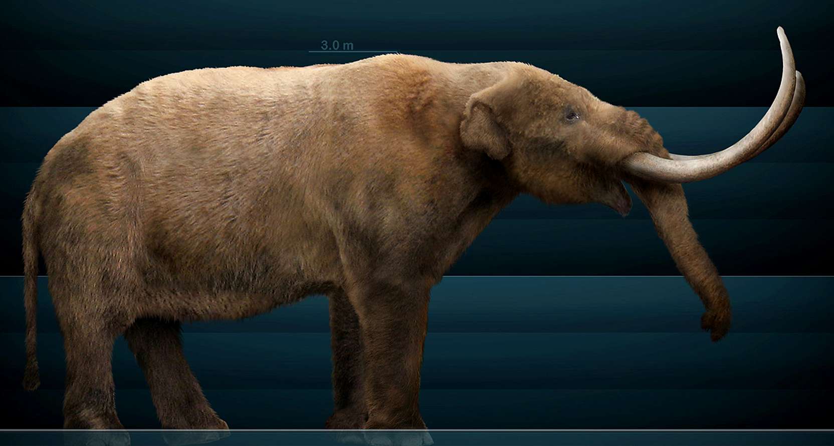 monsters of the past platybelodon