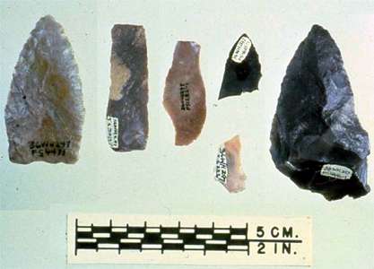 meadowcroft lithic assemblage