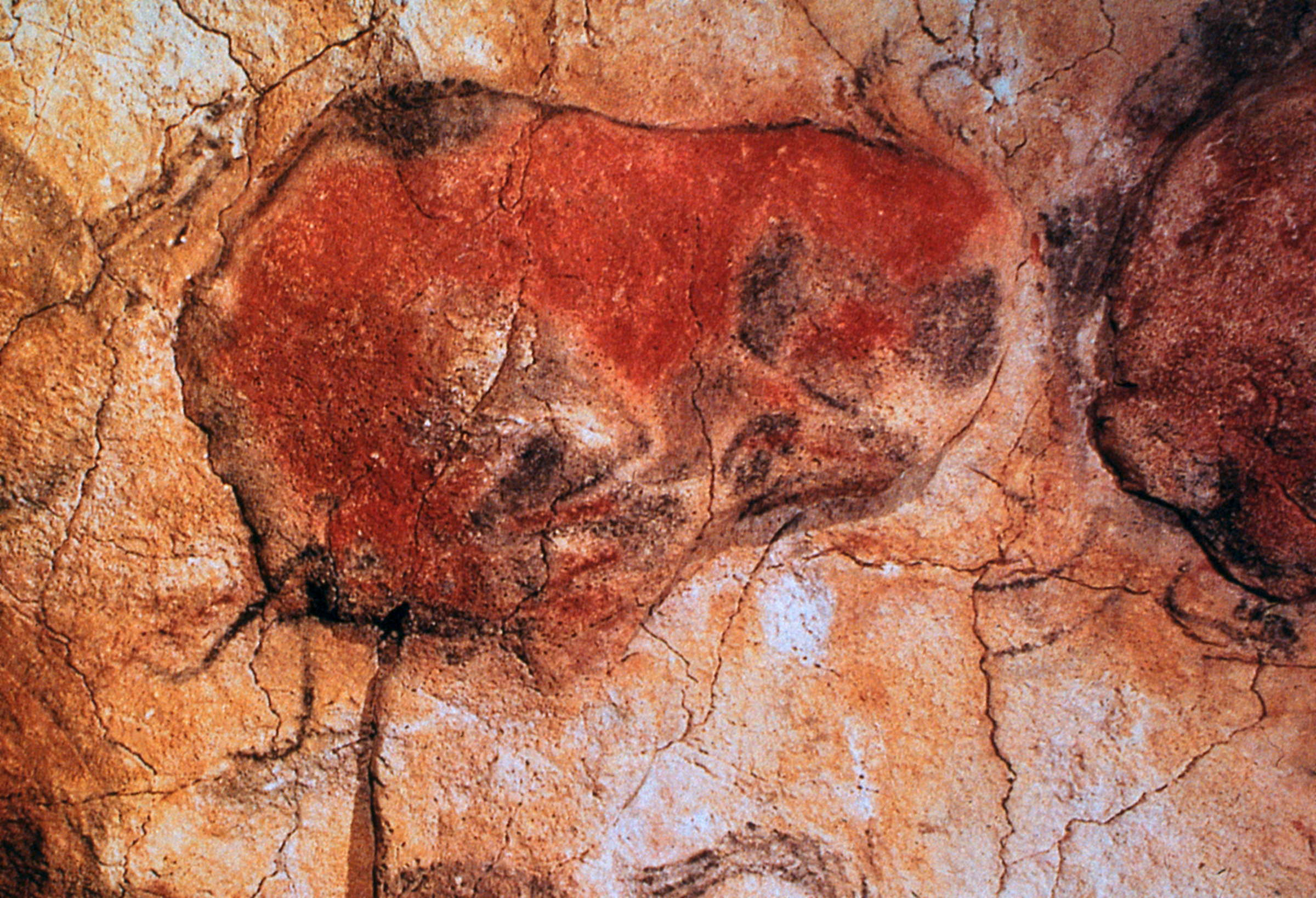 Altamira Cave Paintings